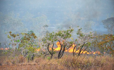  Rota do Fogo: queimadas avançam pela BR-210 e preocupam moradores do norte do Amapá