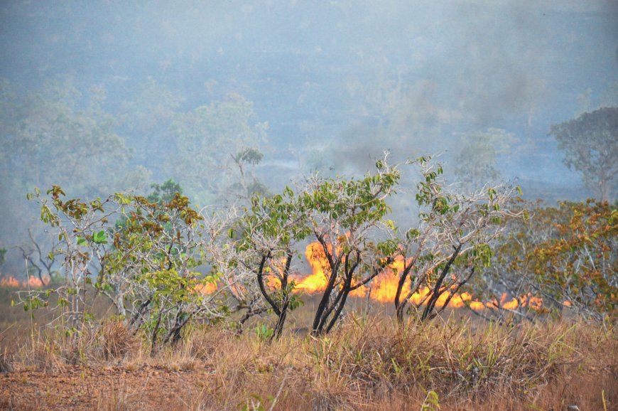  Rota do Fogo: queimadas avançam pela BR-210 e preocupam moradores do norte do Amapá