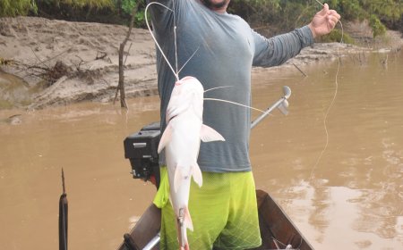 A tradição da pesca da Piramutaba no rio Flexal, no município de Amapá