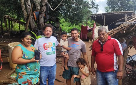 Doação de mudas fortalece resistência quilombola em Colinas (MA)